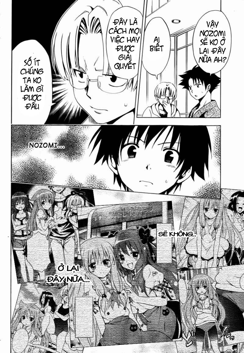 mayoi neko overrun! chapter 8 10