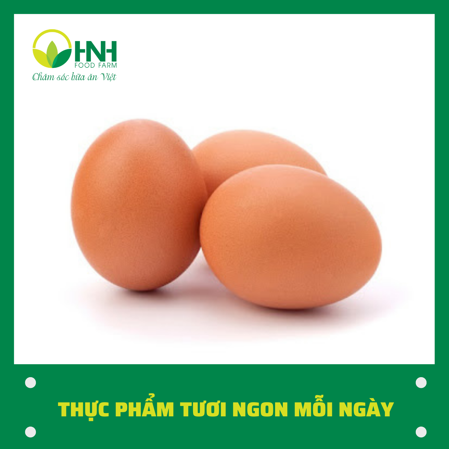 Trứng gà công nghiệp 30 quả - HNH Food Farm