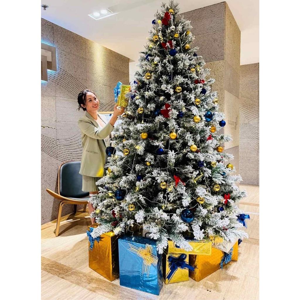 Cây thông noel phủ tuyết cao 2m - Cây cao cấp tán dày và rộng