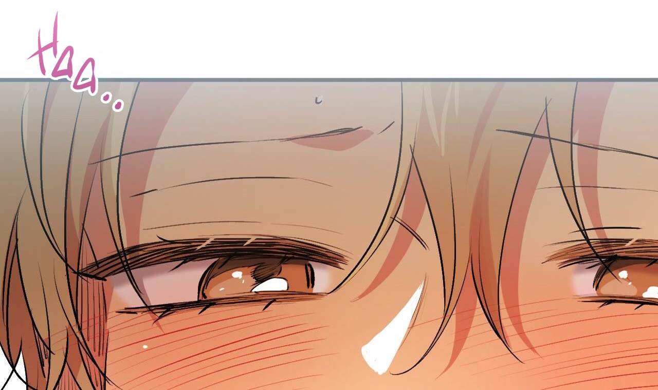 đàn thỏ của habibi chapter 43 51