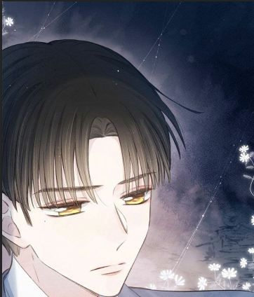 nỗi buồn của hoa cẩm tú cầu chapter 26 12