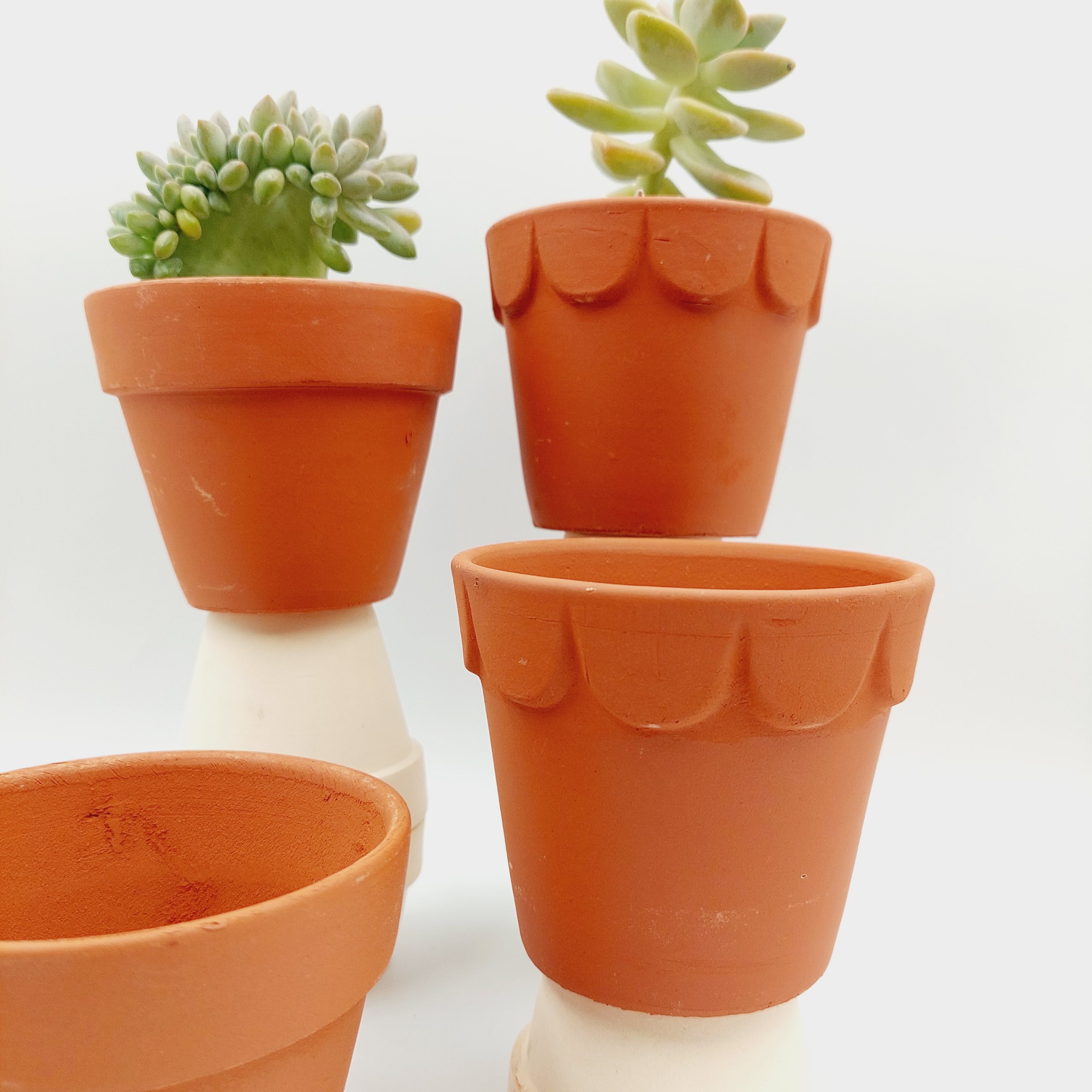 Chậu đất nung, chậu sen đá - Ly gờ 98, miệng chậu 9cm, chiều cao 8cm