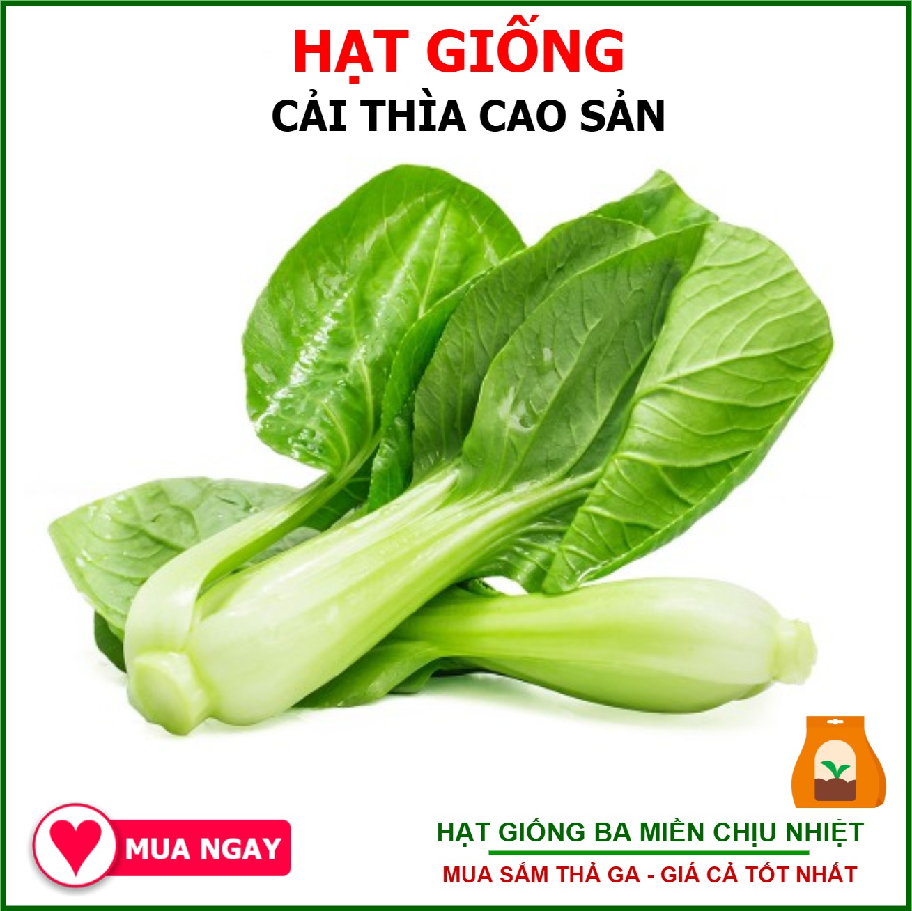 Hình ảnh Hạt Giống Cải Thìa Sen Vàng Gói 20gram