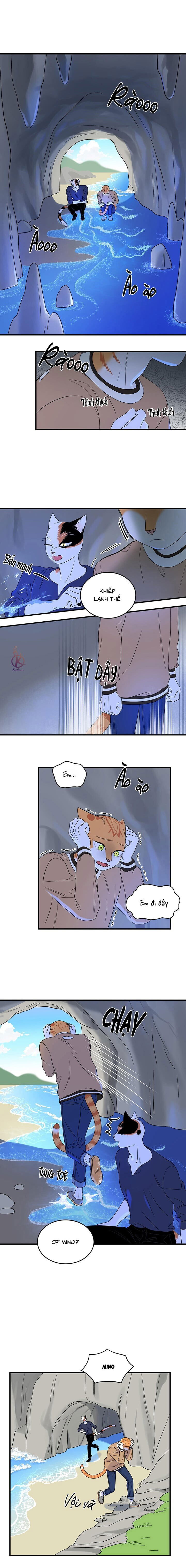 dự án xanh chapter 50 10