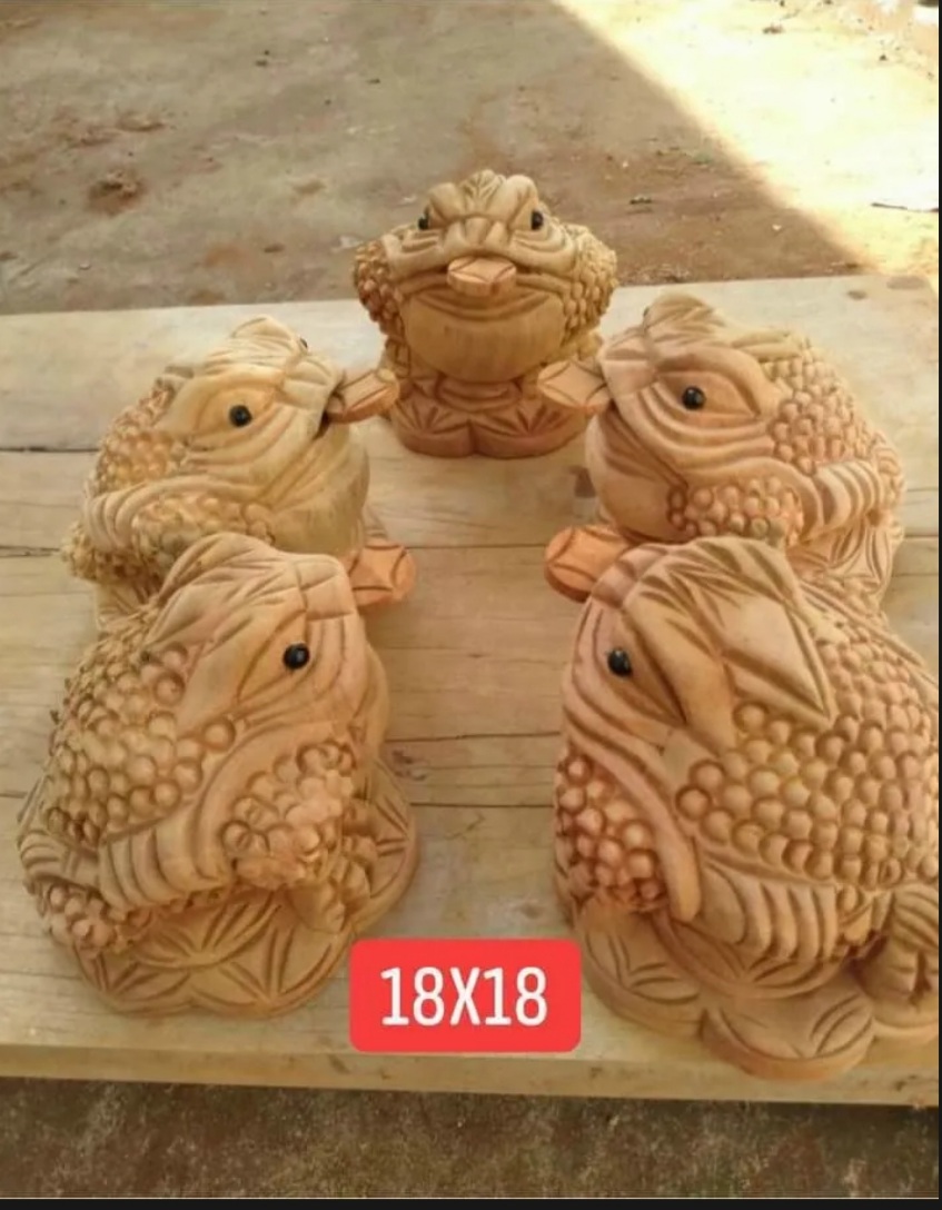 Cóc ngậm tiền gỗ xá xị ngang 30 cm-tượng cóc phong thuỷ