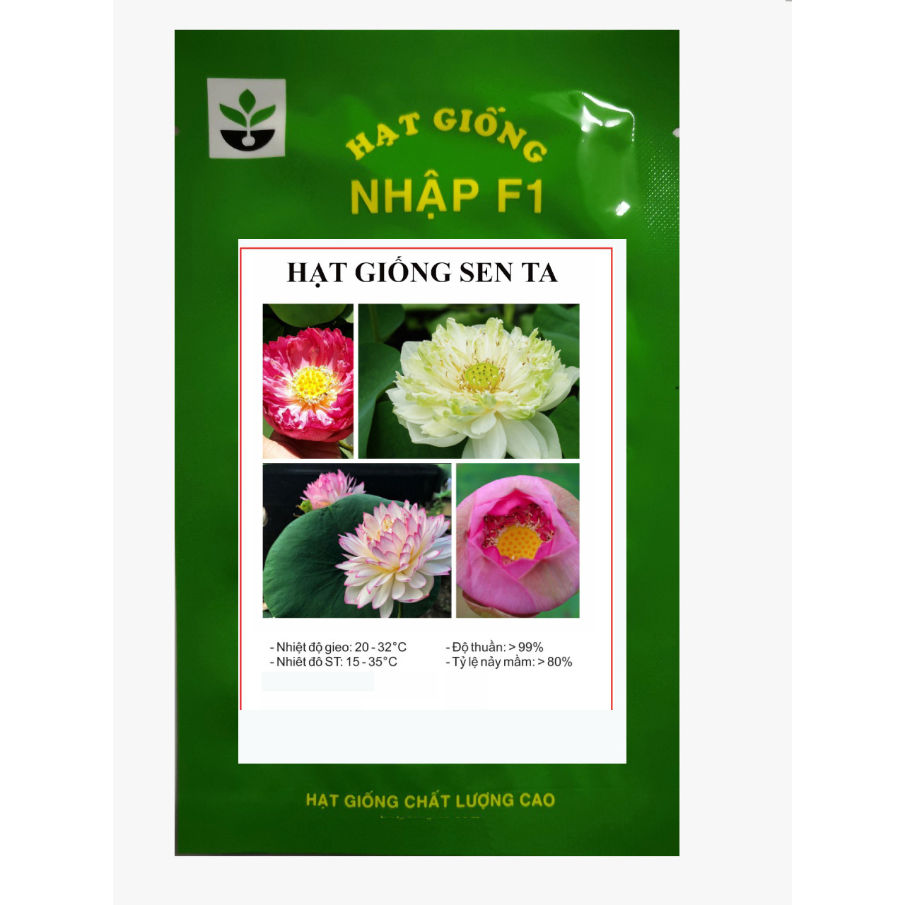 Gói 5 hạt giống sen ta nhiều màu