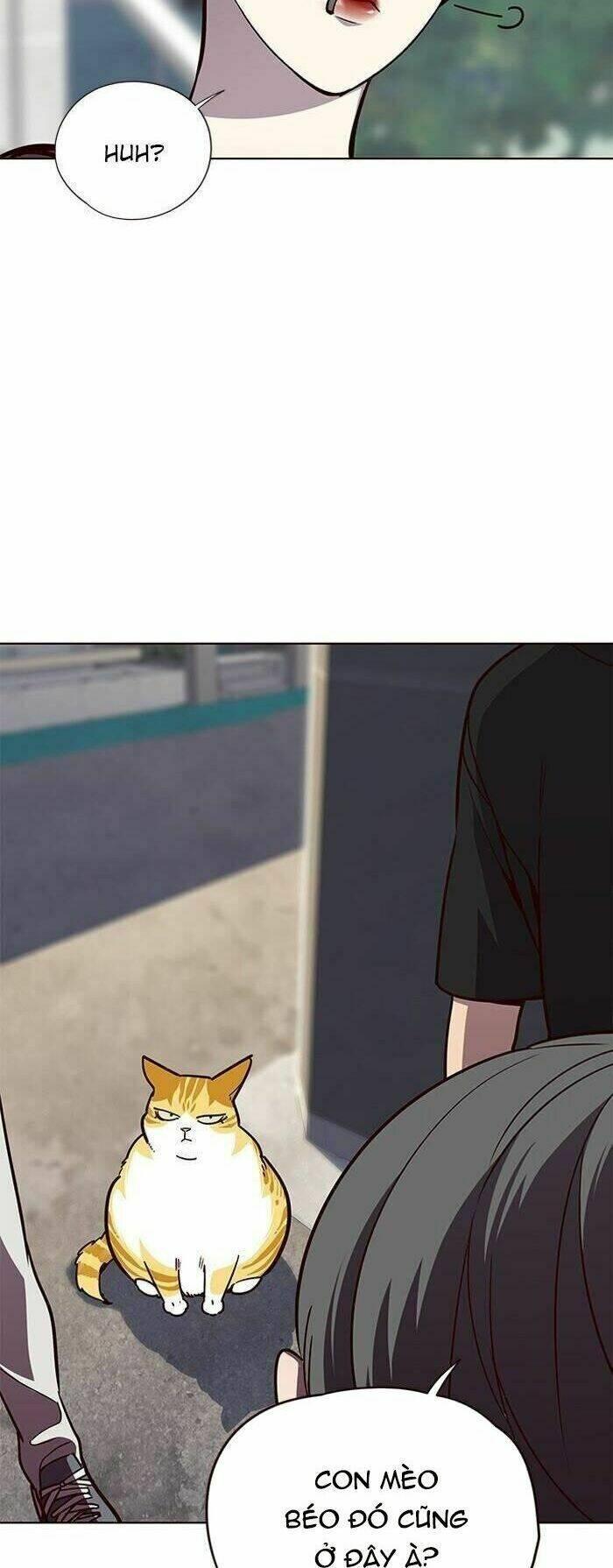 biến thân thành mèo chapter 55 41