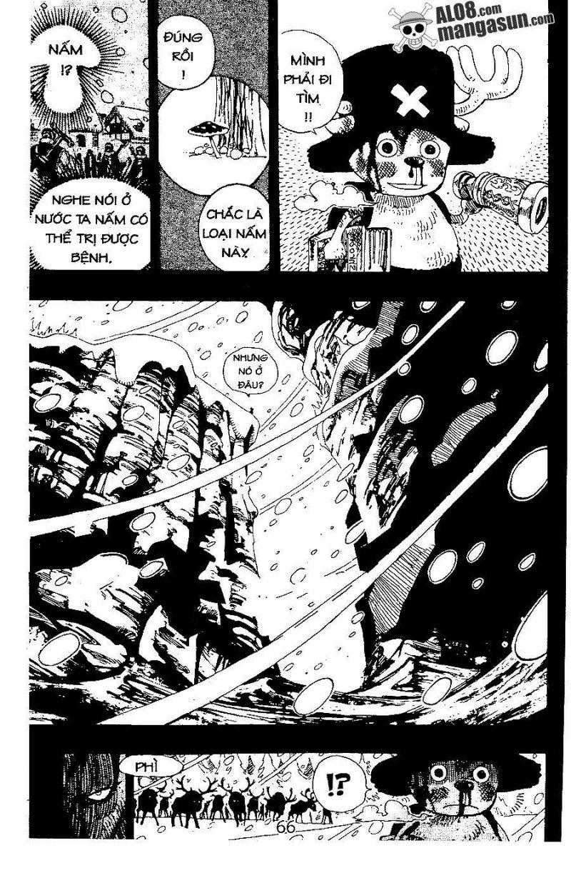 đảo hải tặc - one piece chapter 143 16