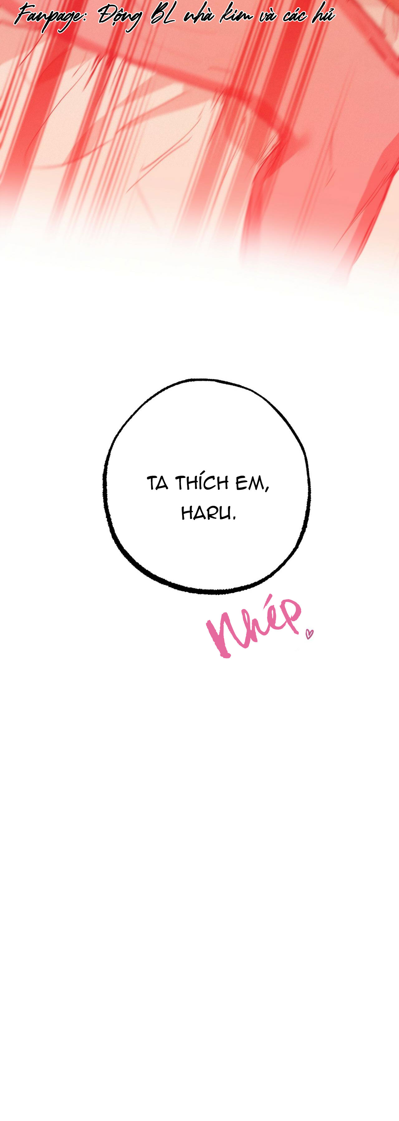 những chú thỏ của hapypy chapter 29 41