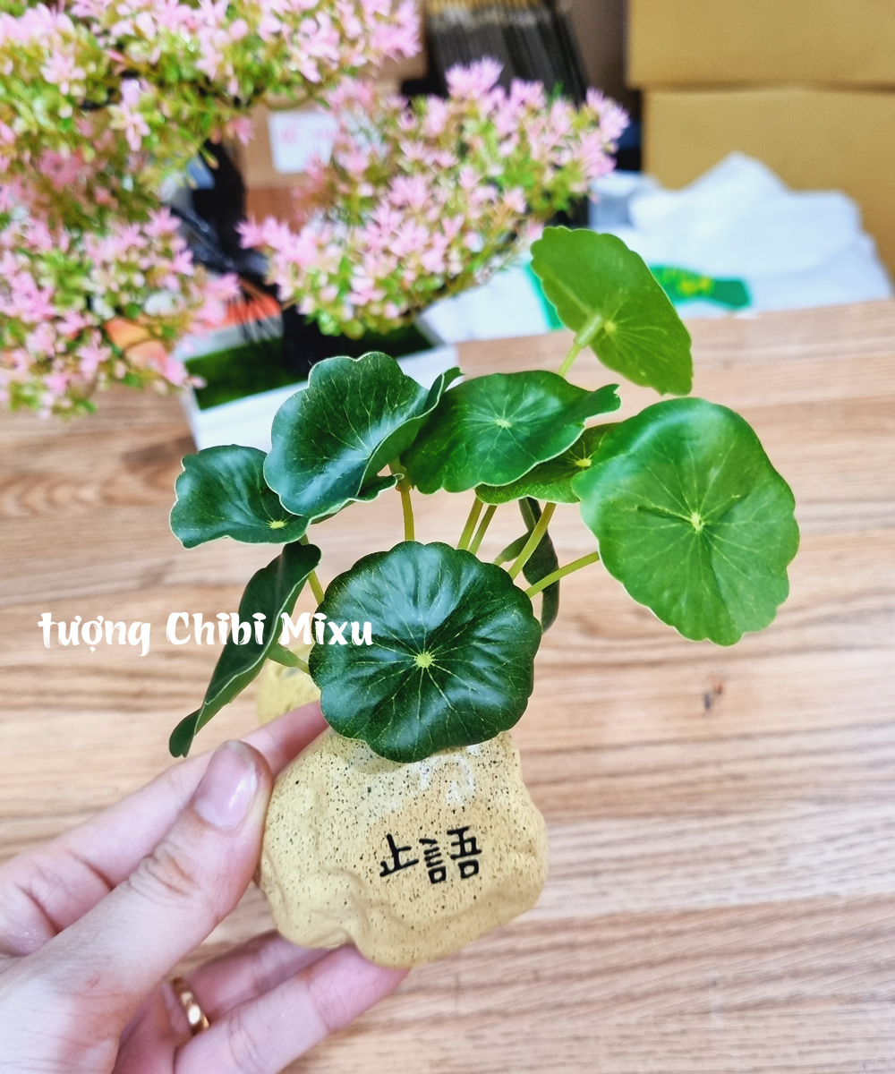 Chậu cây mini kèm nhành lá sen giả trang trí