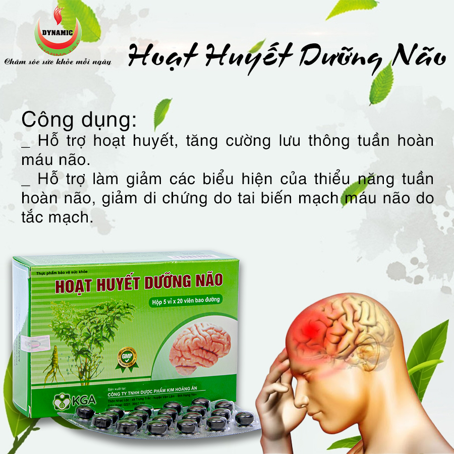 HOẠT HUYẾT DƯỠNG NÃO - NĂNG ĐỘNG - TĂNG CƯỜNG LƯU THÔNG TUẦN HOÀN NÃO