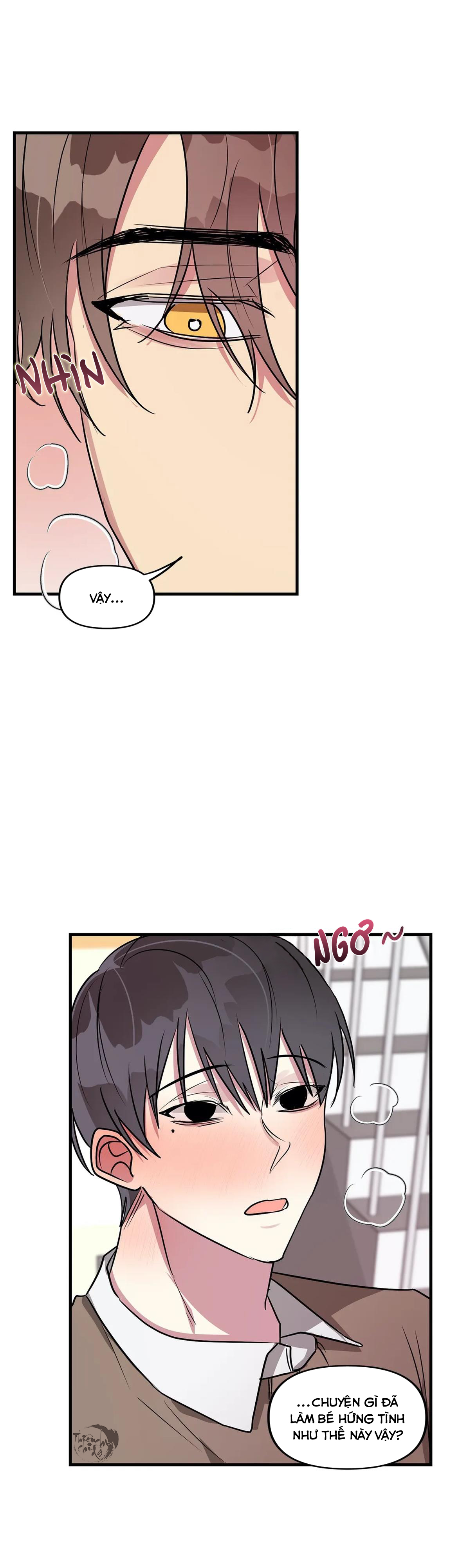 lỗi bộ nhớ chapter 21 7