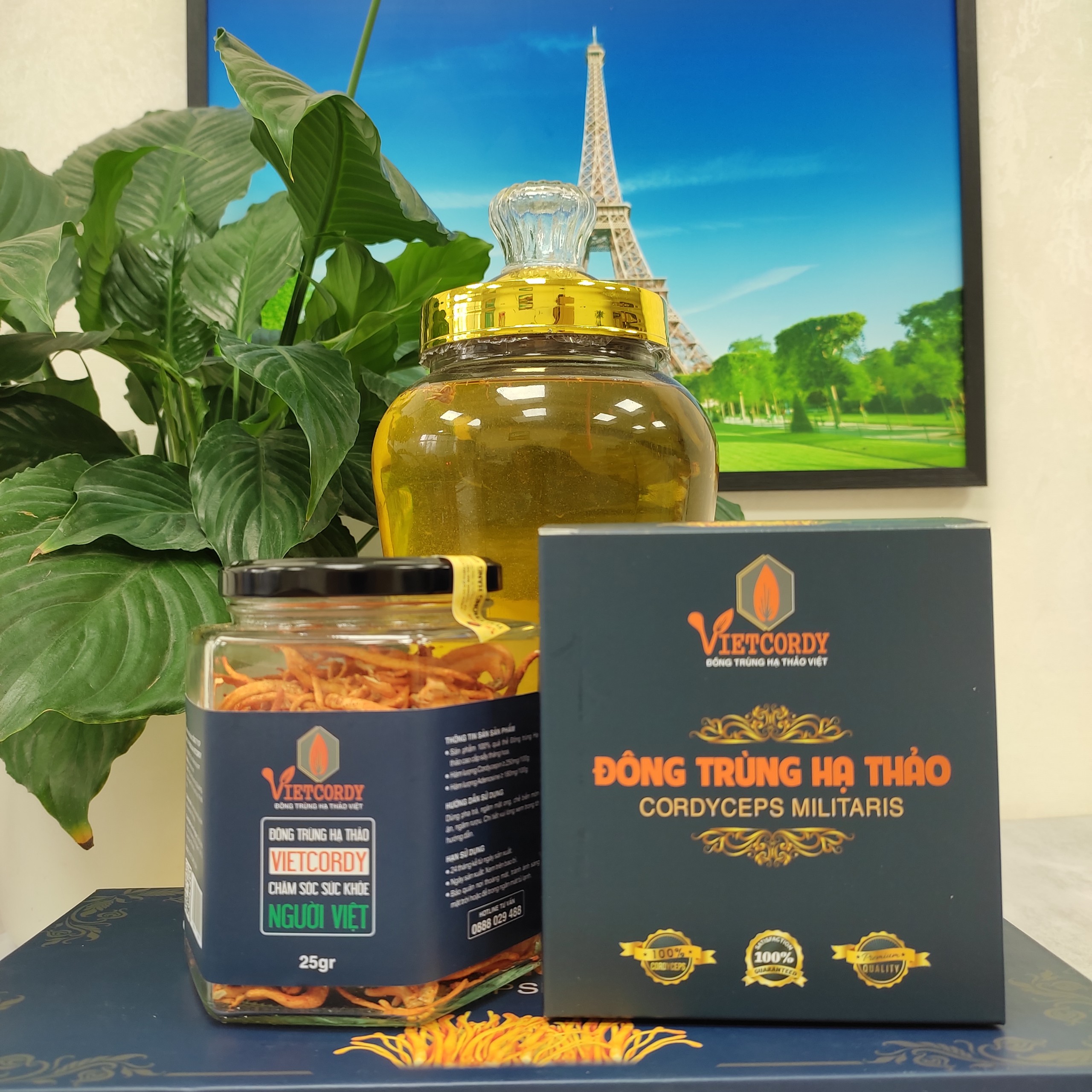 DEAL HOT { ĐÔNG TRÙNG HẠ THẢO CAO CẤP_2 HŨ * 25GR }