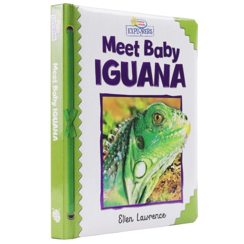 Sách ngoại văn: Active Minds Explorers - Meet Baby Iguana