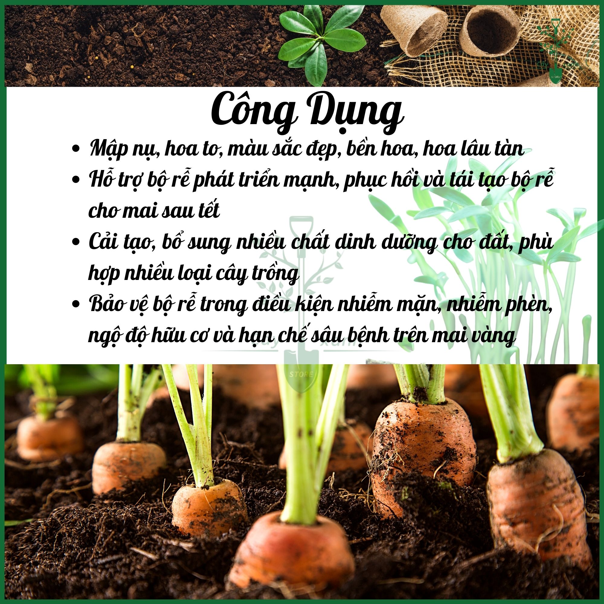 Phân bón chuyên dùng cho hoa mai - Siêu hoa mai - Kích rễ, Cây khỏe, Trổ điều, Nhiều hoa, Dưỡng hoa mai đẹp - Gói 700g