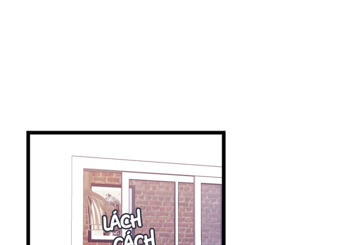 kiếp trước bí ẩn của giáo sư chapter 5 20