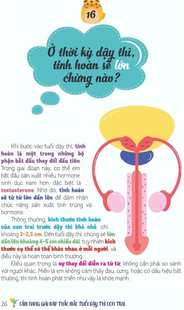 Sách - Dậy Thì Không Gì Phải Sợ - Cẩm Nang Con Trai