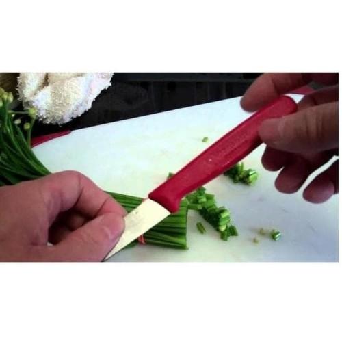 Dao bếp Victorinox Paring Knives màu đỏ (Pointed trip, 10cm) 6.7701