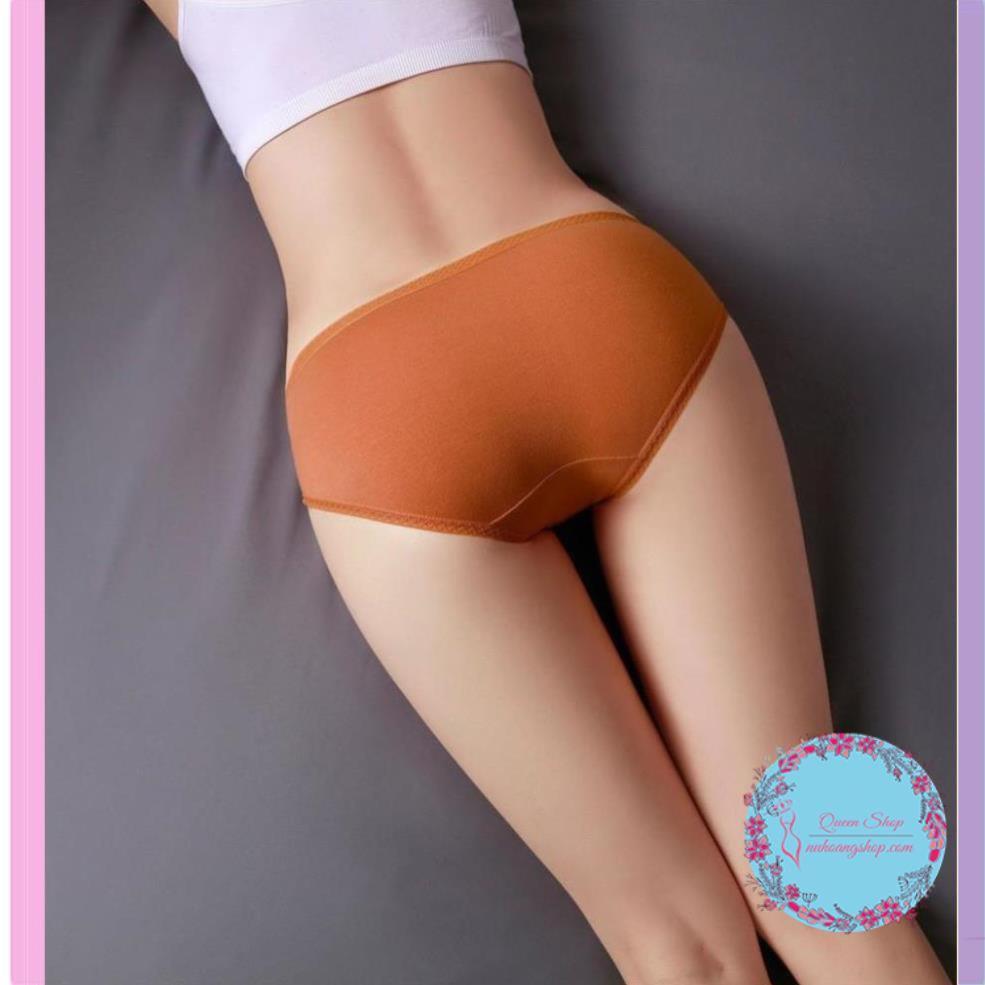 Quần Lót Nữ Cotton - đồ lót nữ Cao Cấp DL102
