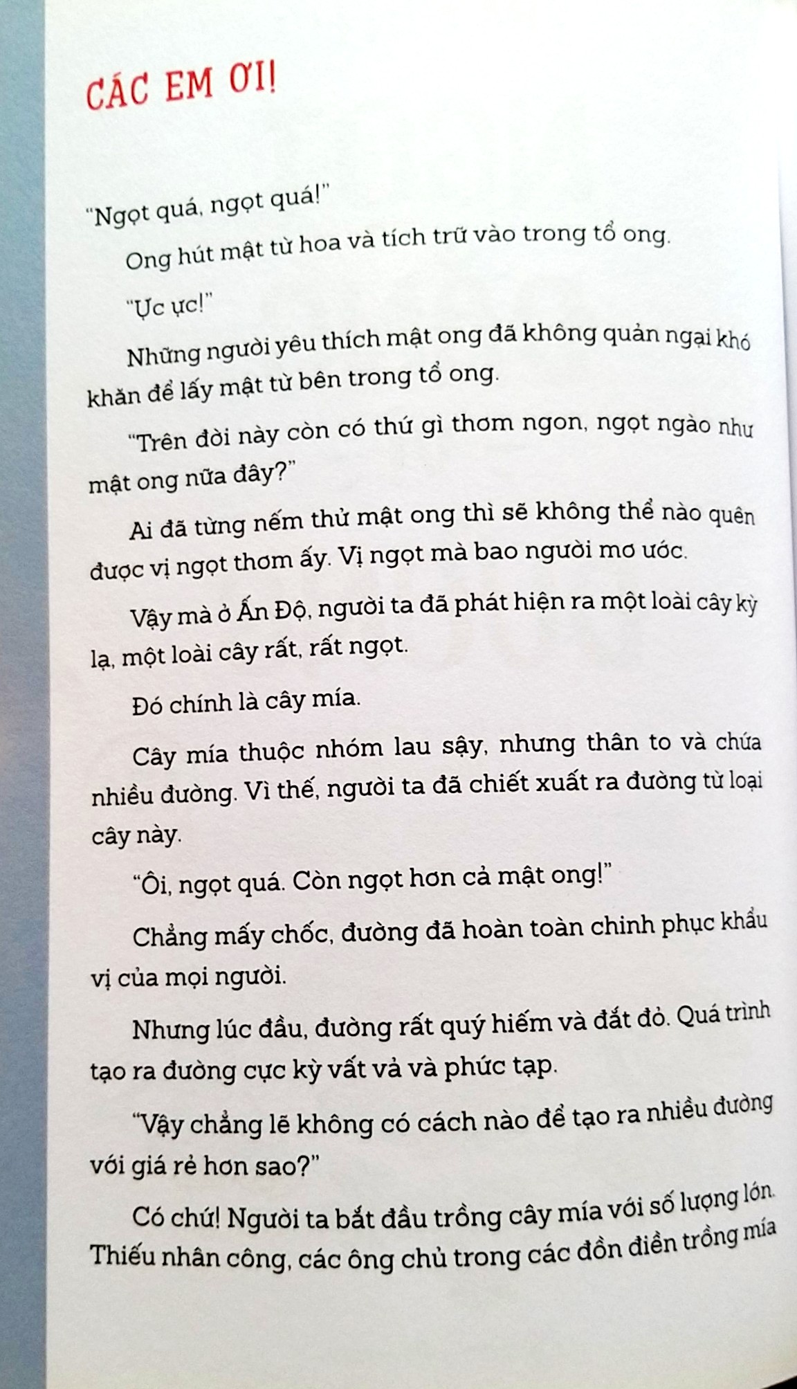 Ngọt Đắng Vị Đường