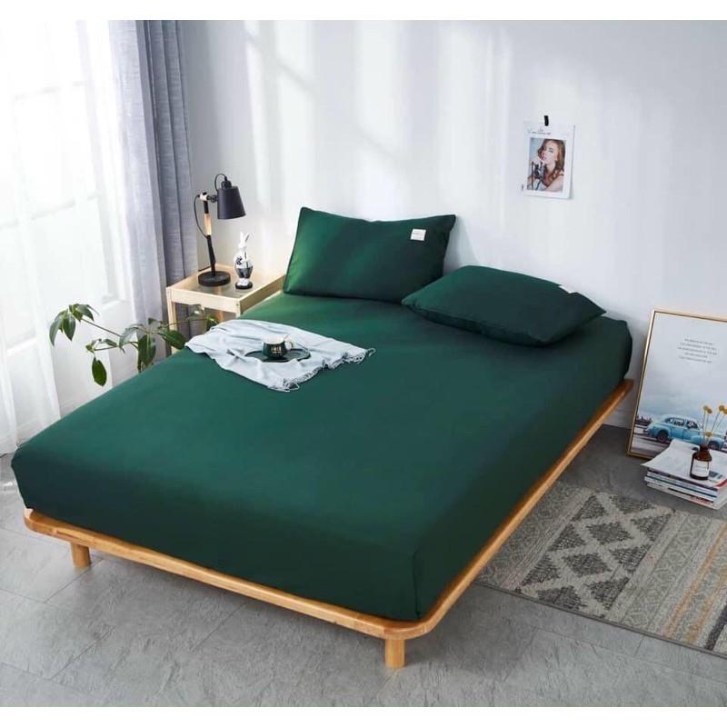 SET CHĂN GA TICI CAO CẤP 4 MÓN KHÔNG CHĂN - MÀU XANH LÁ
