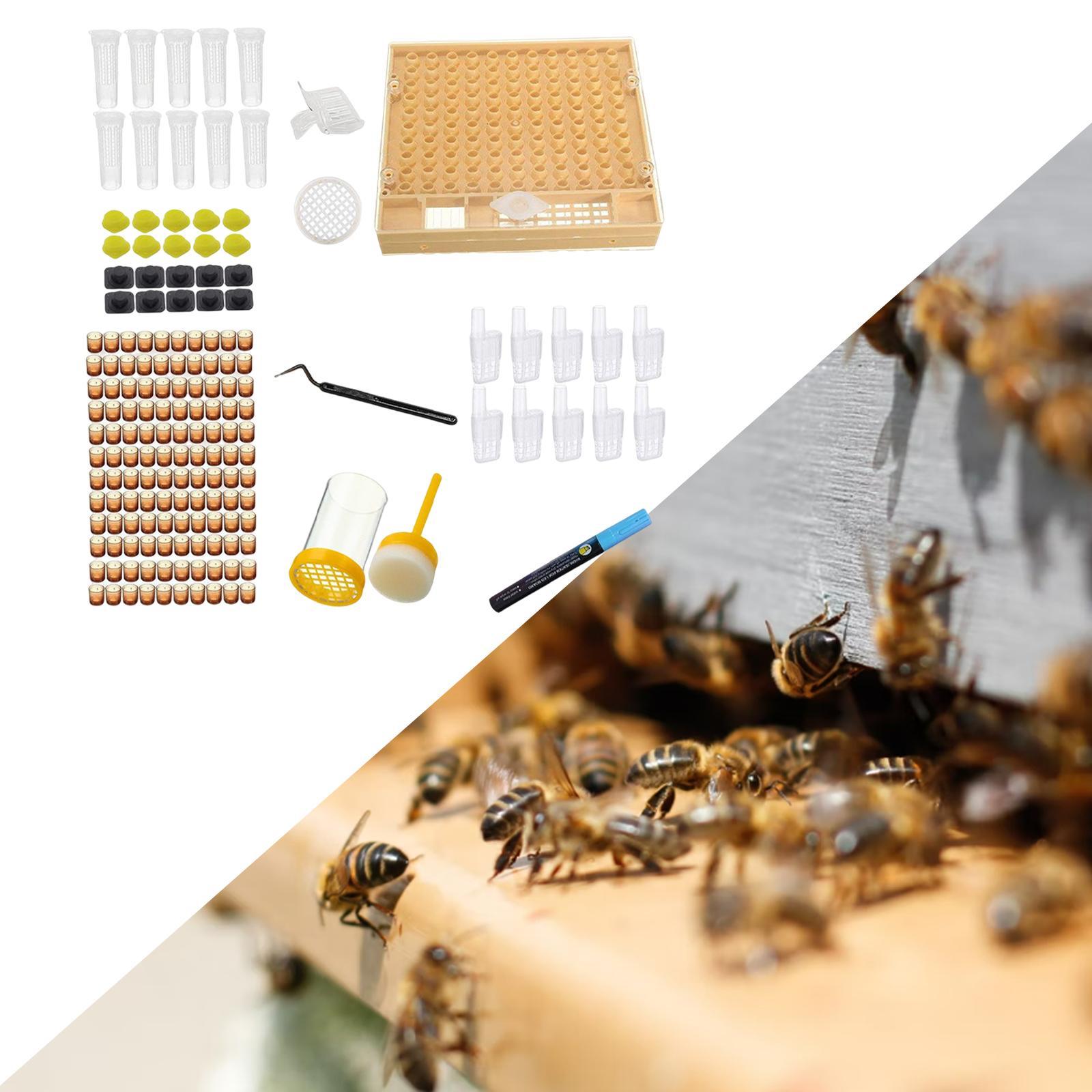Queen Bee Rearing System Kit for Laying Eggs to Raise Queens Beekeeper Tool