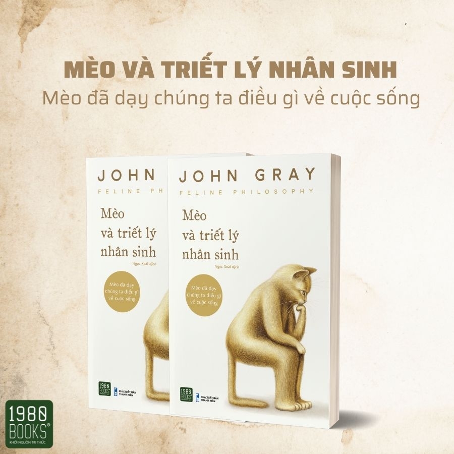 Mèo và triết lý nhân sinh