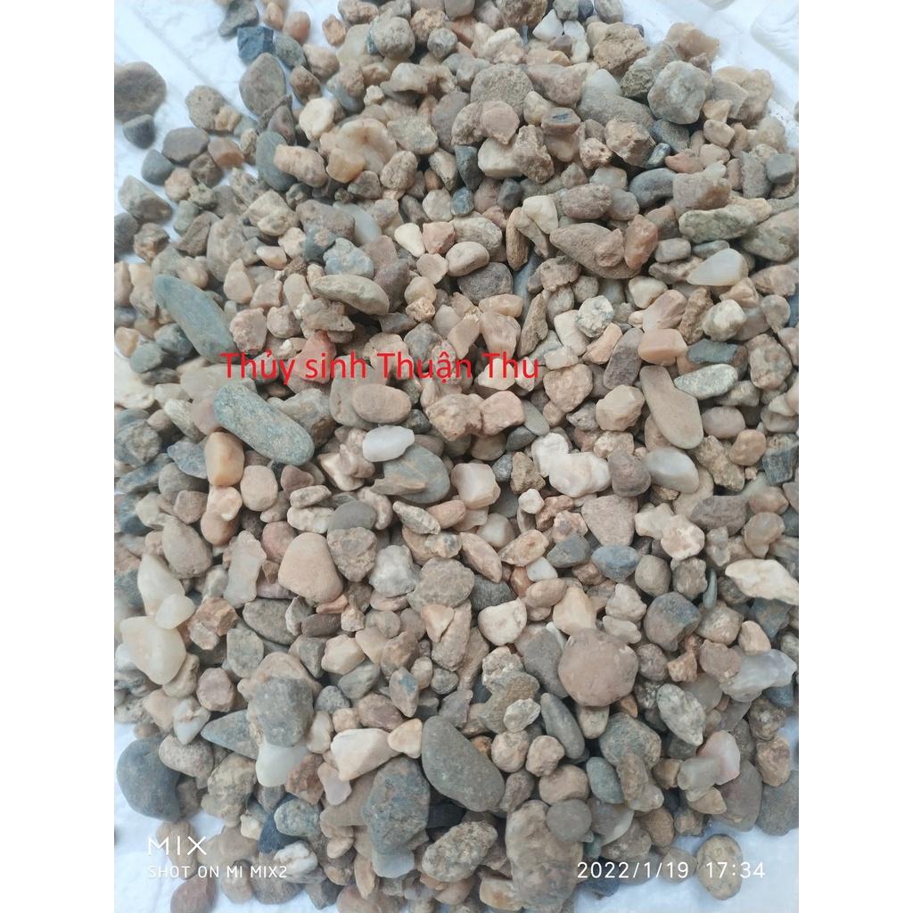 Sạn suối - sỏi suối trang trí bể cá, bể thủy sinh
