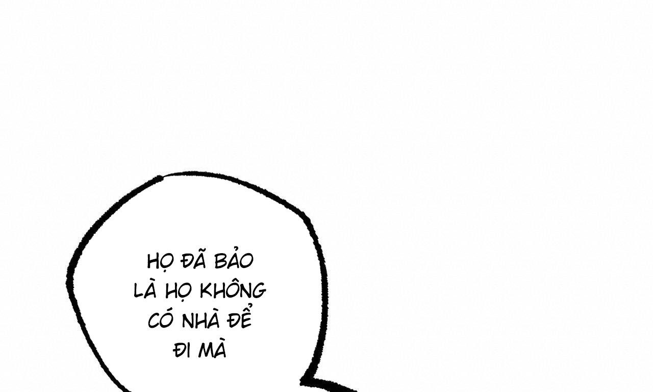 những chú thỏ của hapypy chapter 51 191