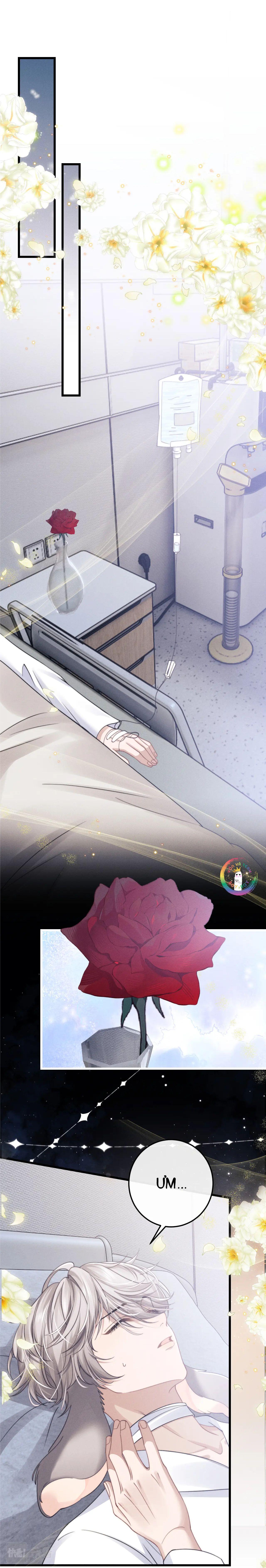 chấp sự thỏ tai cụp chapter 10 12