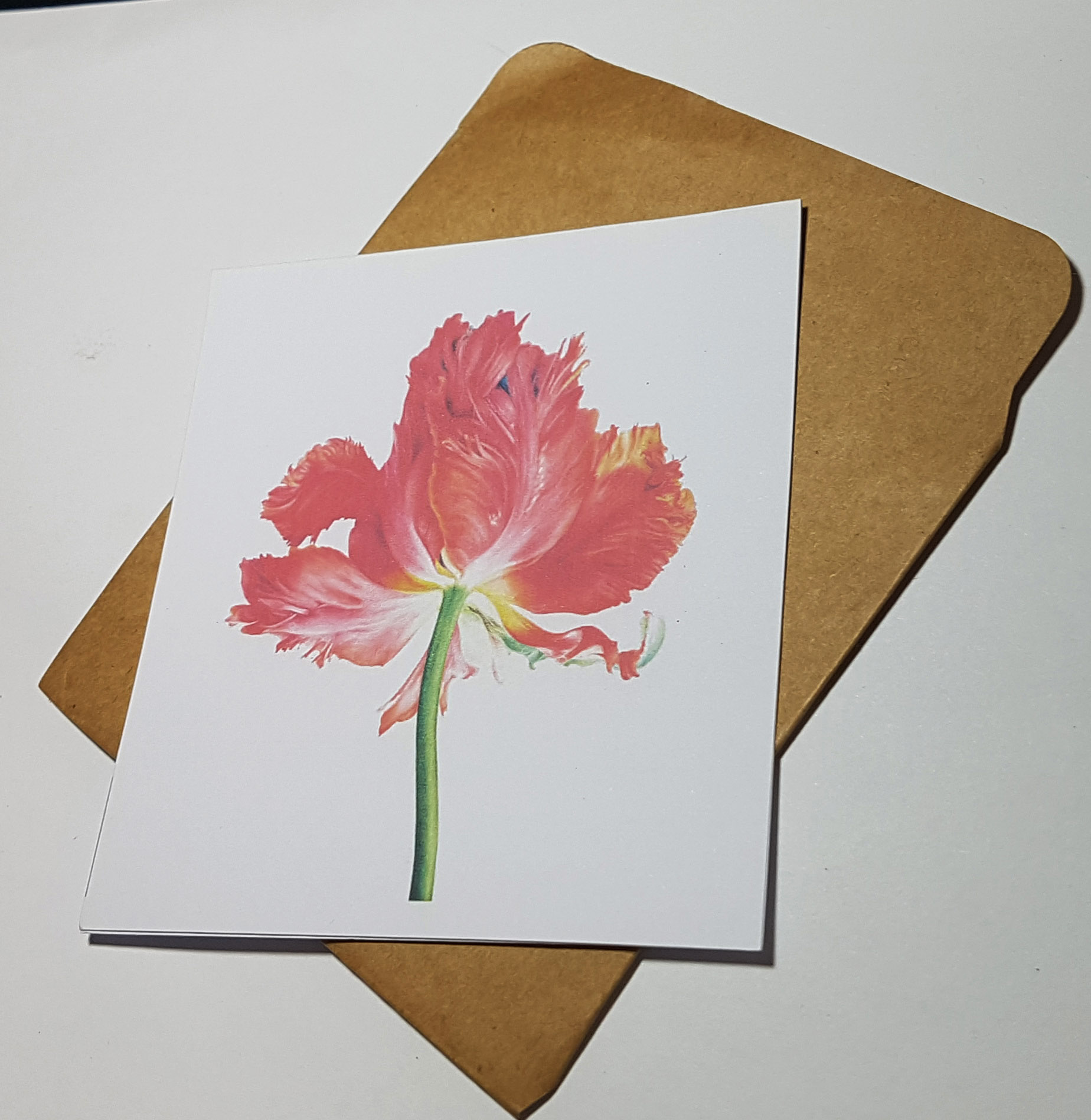 Thiệp phong cách Vintage card quà cám ơn ,chúc mừng sinh nhật và giử tặng người thân yêu