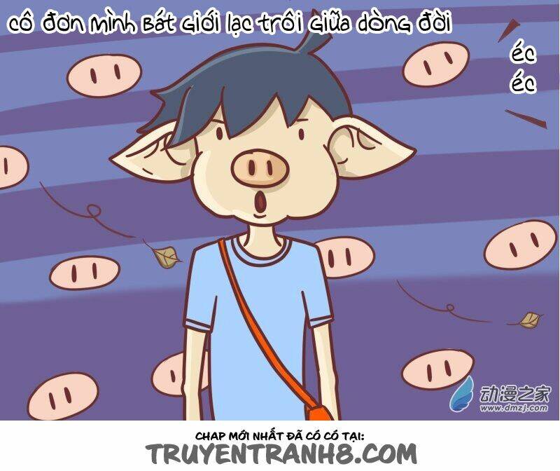 cười trên xe bus chapter 103 5