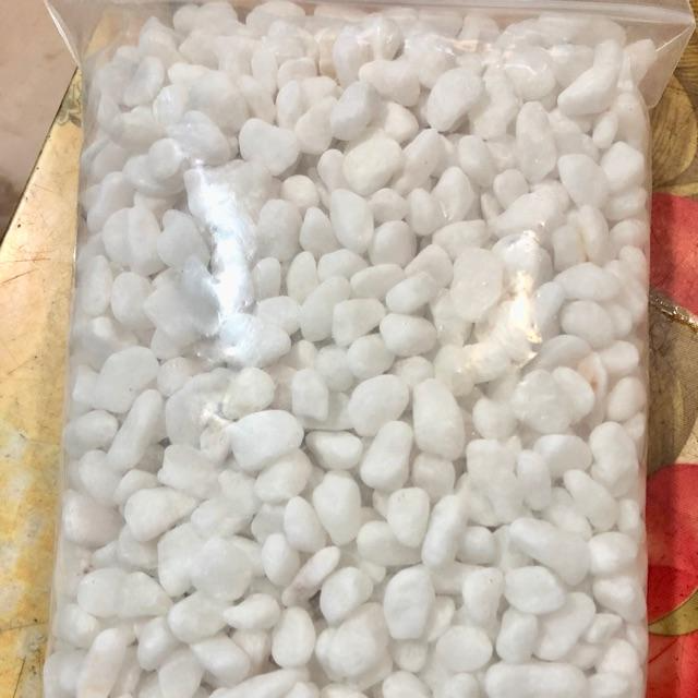 SỎI TRẮNG TRANG TRÍ