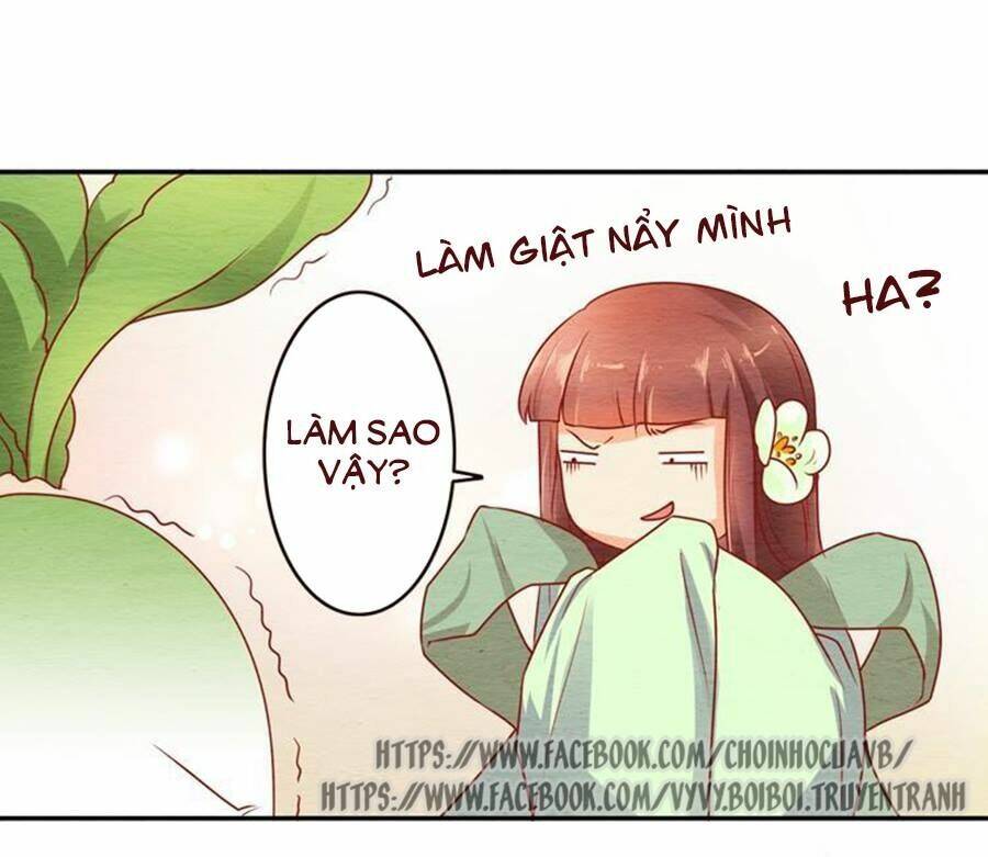 nhân hoa duyên chi sư phụ đại nhân cầu sủng ái chapter 7 36