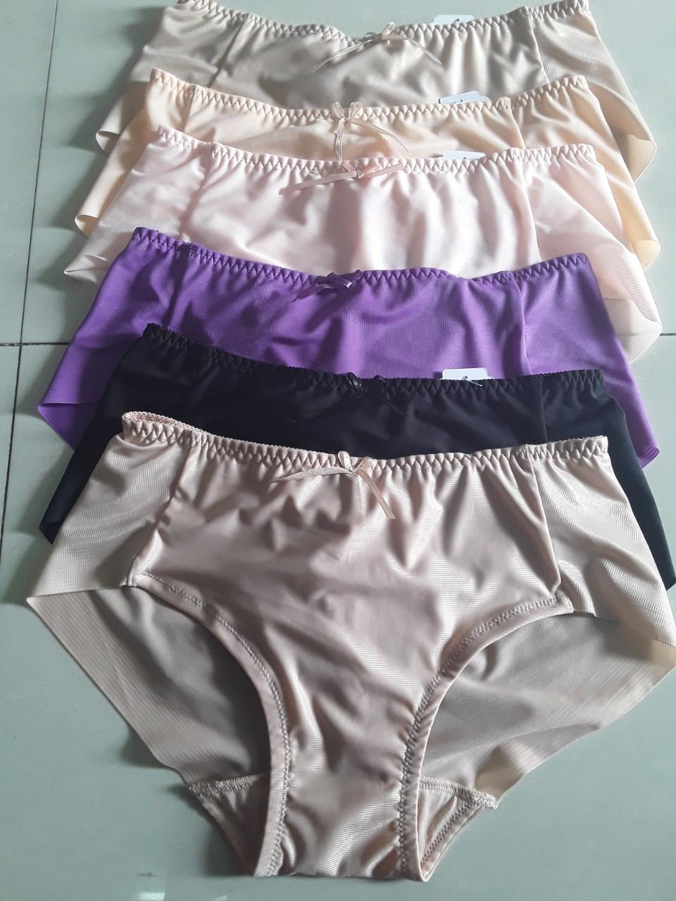 Combo 10 Quần lót lưới lạnh  trơn Tàng hình hàng việt nam loại cao cấp màu ngẫu nhiên
