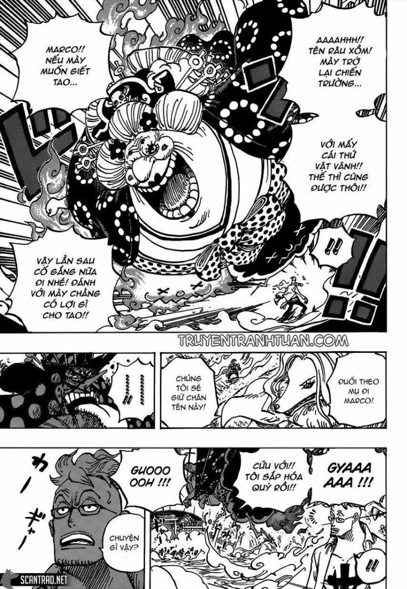 đảo hải tặc - one piece chapter 995 6