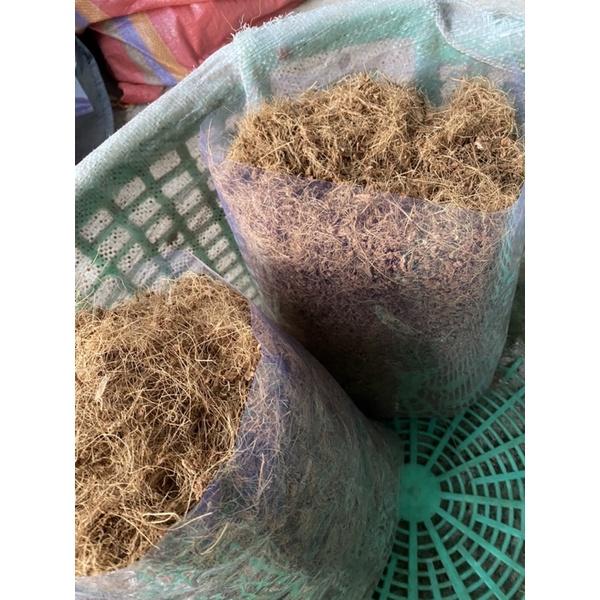 Chỉ Dừa dùng để phủ mặt chậu loại 30x40cm