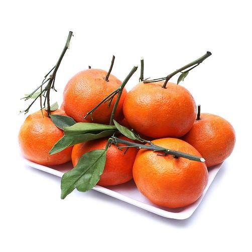 Cây giống Cam ĐƯỜNG Canh Siêu trái .