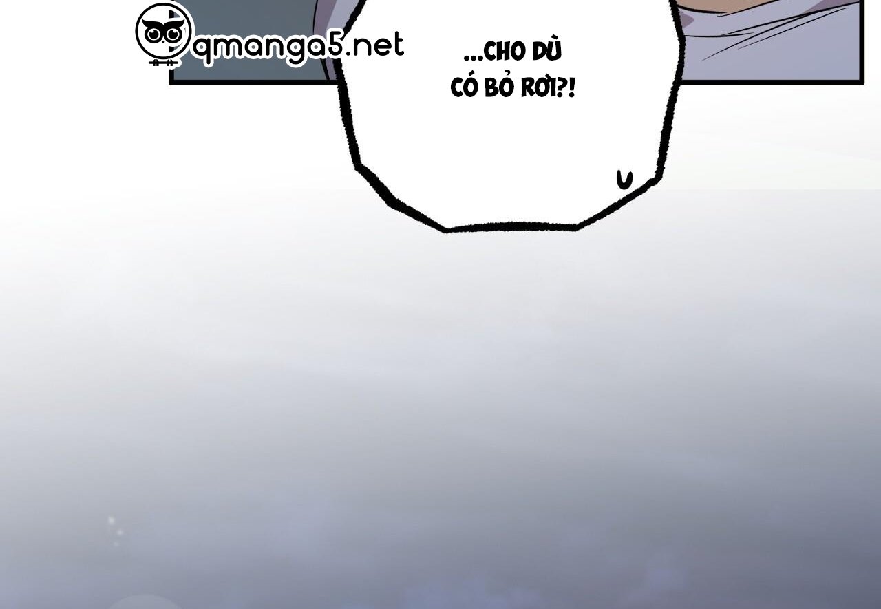 những chú thỏ của hapypy chapter 60 179