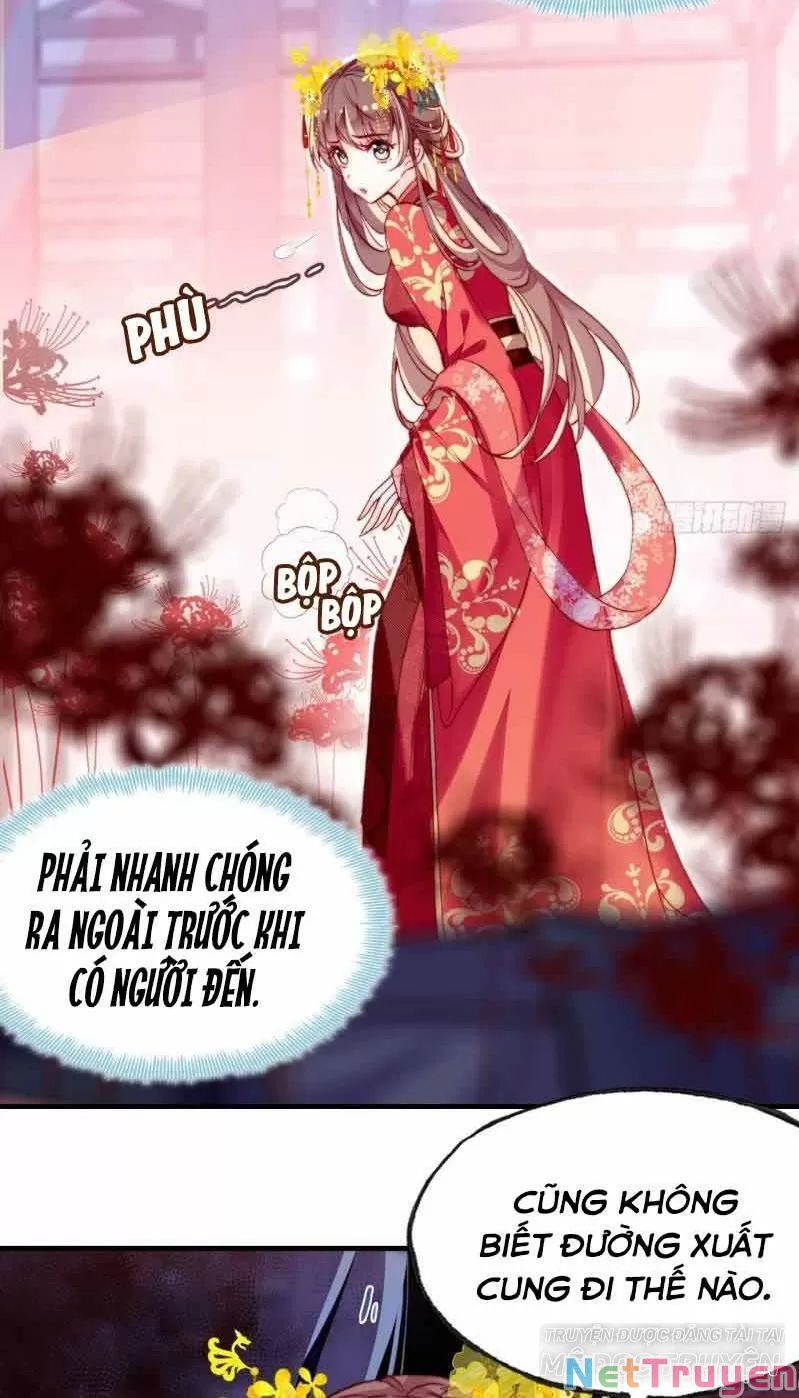 lại bị bệnh chiều chuộng quấn lấy chapter 3 31