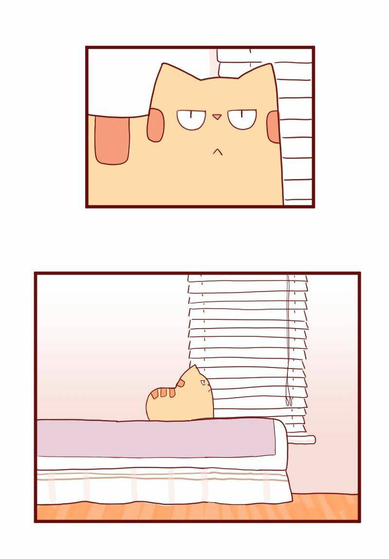 saphie: chú mèo một mắt chapter 10 15