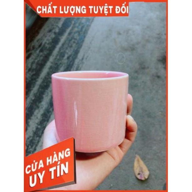 Chậu Trồng Cây