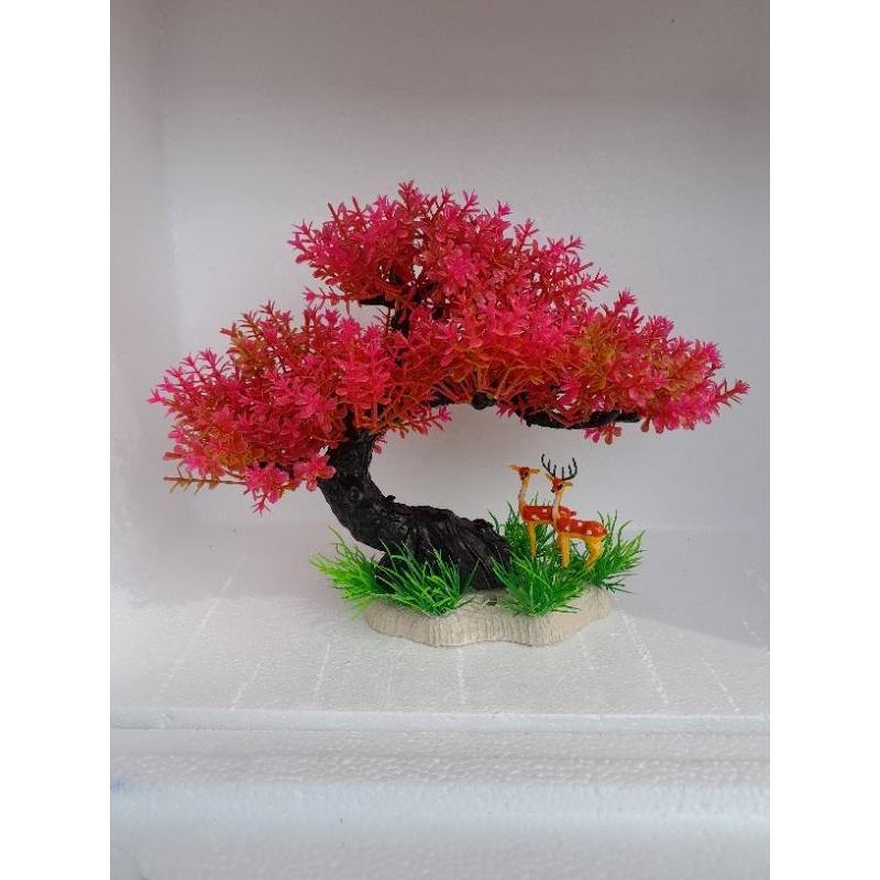 Bonsai bể cá cảnh - cây để bàn - cây trang trí hòn non bộ tiể cảnh