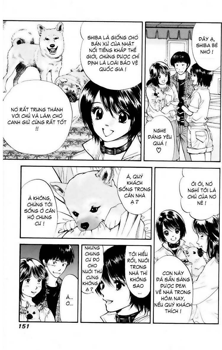 cô nàng yêu chó chapter 17 3