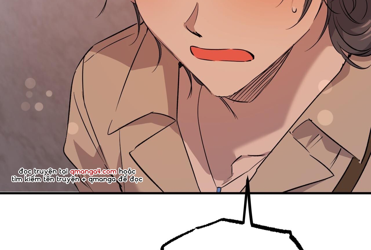 những chú thỏ của hapypy chapter 57 164