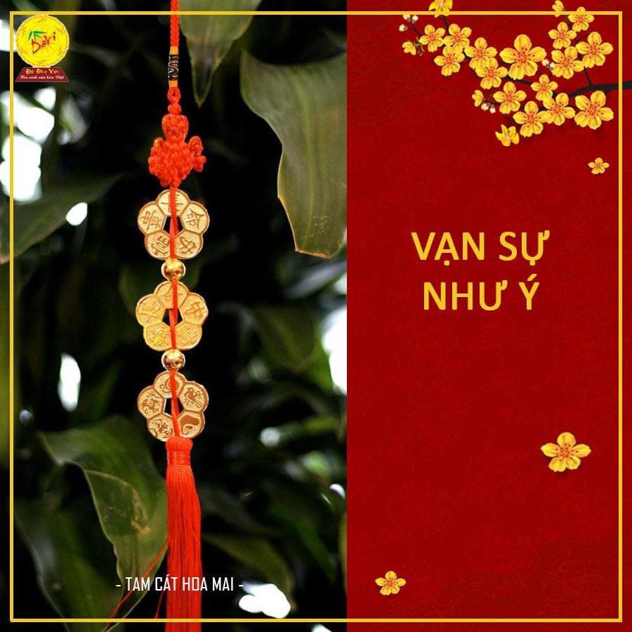 Đồng tiền HOA MAI - Hoa mai kim tiền