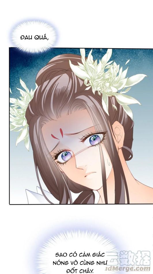 bổn vương muốn nàng chapter 45 35