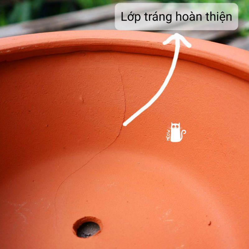 Chậu đất nung Tô có gờ | Chậu trồng sen đá, xương rồng