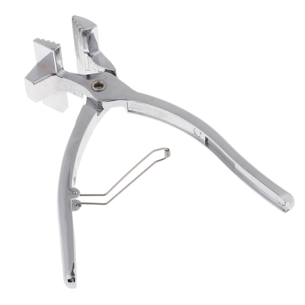 Nghệ Thuật Cung Cấp Canvas Kìm 7.60 Inch Có Lò Xo Trở Về Tay Cầm, Miệng Rộng 6 Cm