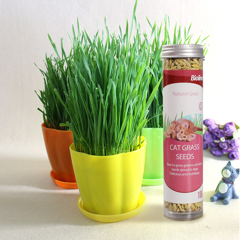 Hạt Giống Cỏ Mèo Tươi Cho Mèo Cat Grass Seeds Bioline 100g - YonaPetshop